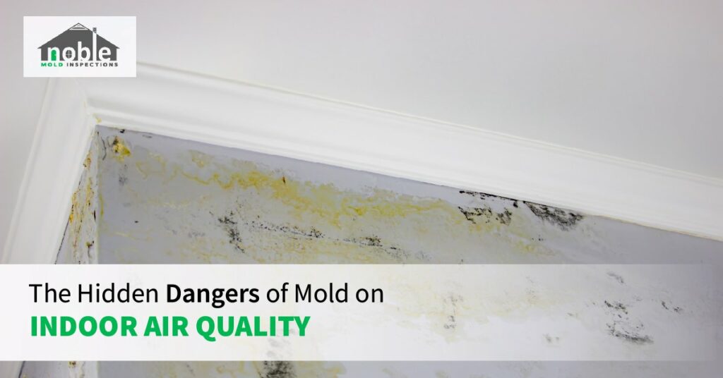 Is Bathroom Mould Dangerous? Discover the Hidden Risks! হেলদিস্পোর্টস